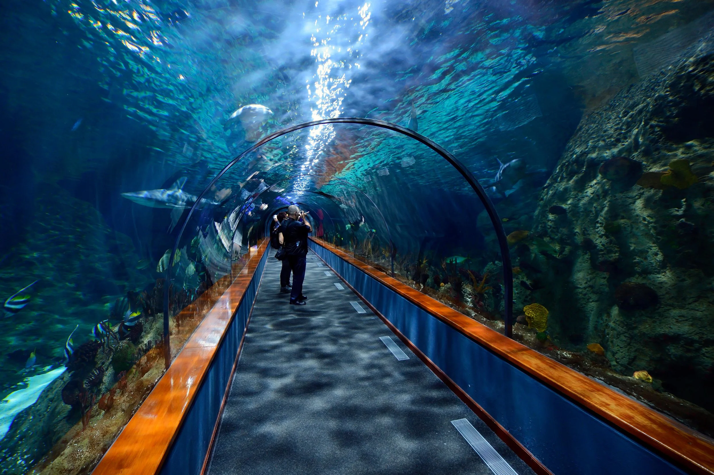 aquarium.png